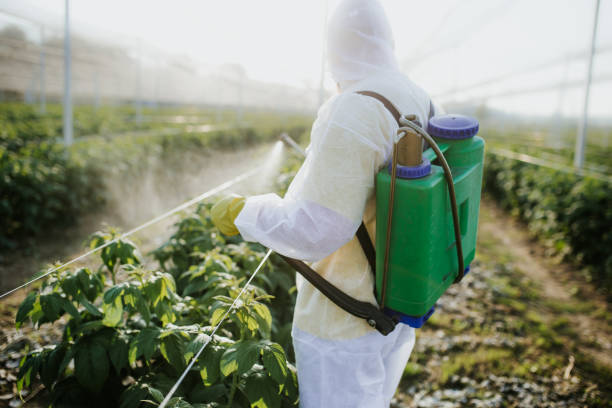 Best Ant Control Services  in Sidney, MT